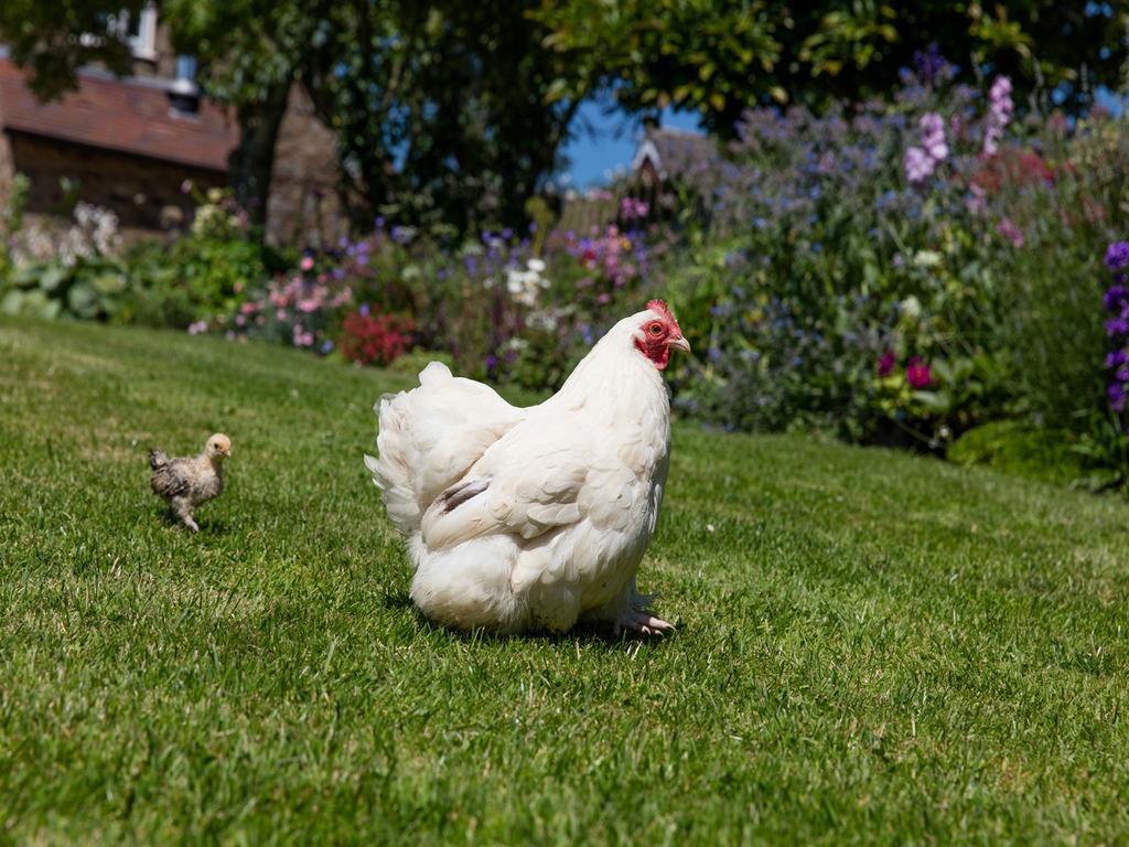 The Graig Bed & Breakfast Ludlow Farden Εξωτερικό φωτογραφία
