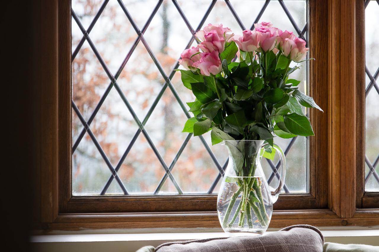 The Graig Bed & Breakfast Ludlow Farden Εξωτερικό φωτογραφία