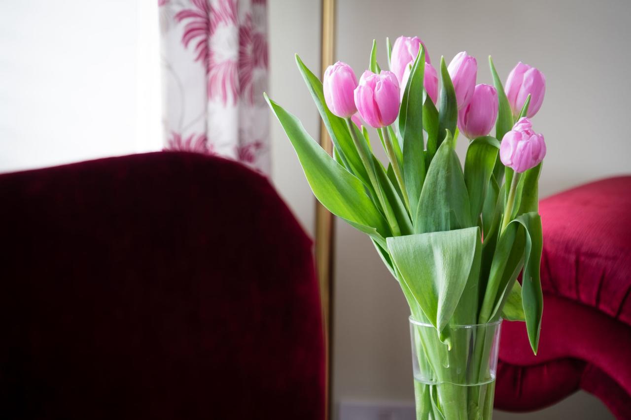 The Graig Bed & Breakfast Ludlow Farden Εξωτερικό φωτογραφία