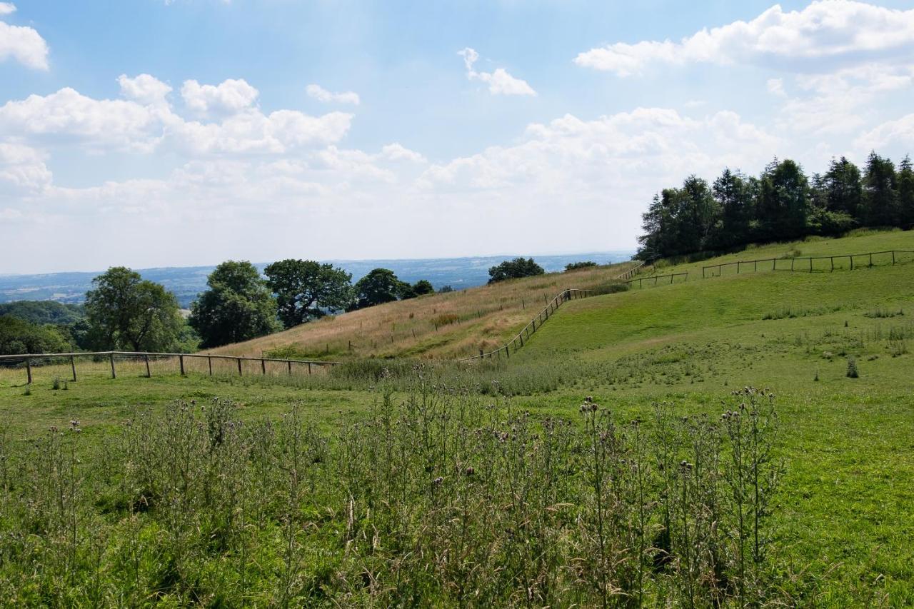 The Graig Bed & Breakfast Ludlow Farden Εξωτερικό φωτογραφία
